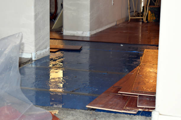 Professional Water Damage Restoration technician working in Ross, CA